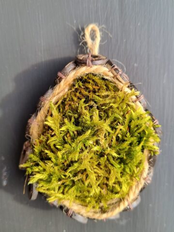 Pendant with moss