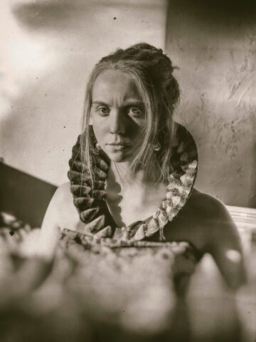 Shell Collar