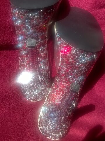 Fittness Competition Shoes